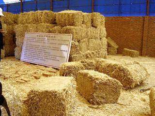 從田間到餐桌 薯類(lèi)加工與銷(xiāo)售的新機(jī)遇