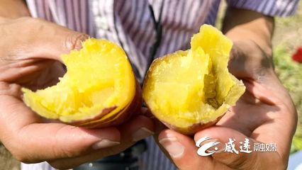 1元1斤！線上線下銷(xiāo)售火！威遠(yuǎn)秋季美味火爆上市！