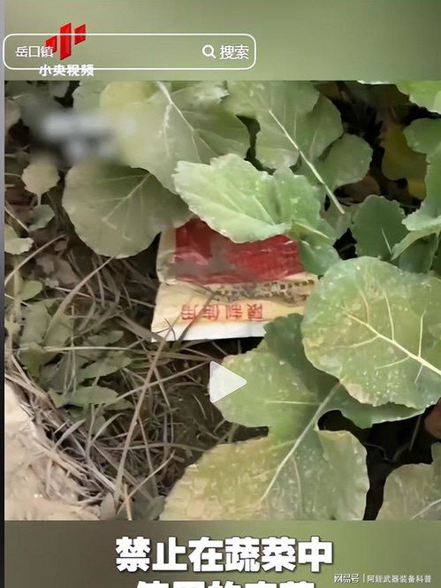 云南‘毒紅薯’事件升級 調(diào)查組介入深挖產(chǎn)業(yè)鏈，商戶‘主動(dòng)投毒’背后的黑幕浮出水面