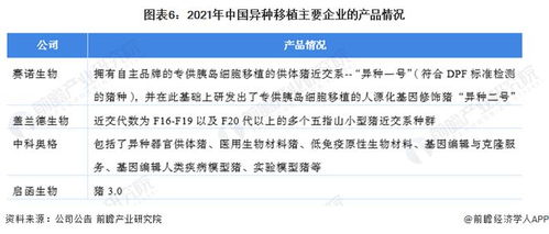 洞察2022 中國(guó)異種移植行業(yè)競(jìng)爭(zhēng)格局深度解析——研發(fā)對(duì)比、投融資與業(yè)務(wù)布局盤(pán)點(diǎn)
